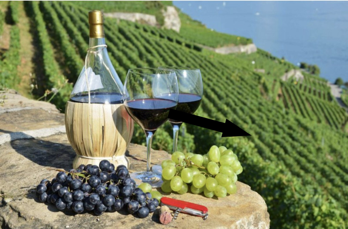 Крымские виноградники: российская Тоскана