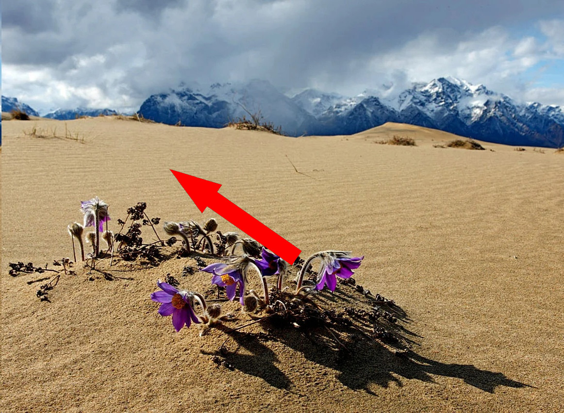 Сибирская Сахара: Пустыня Чара в сердце России