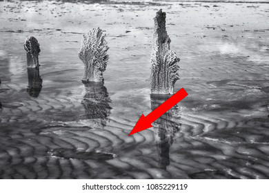 Эльтон: загадки и сокровища российского Мертвого моря