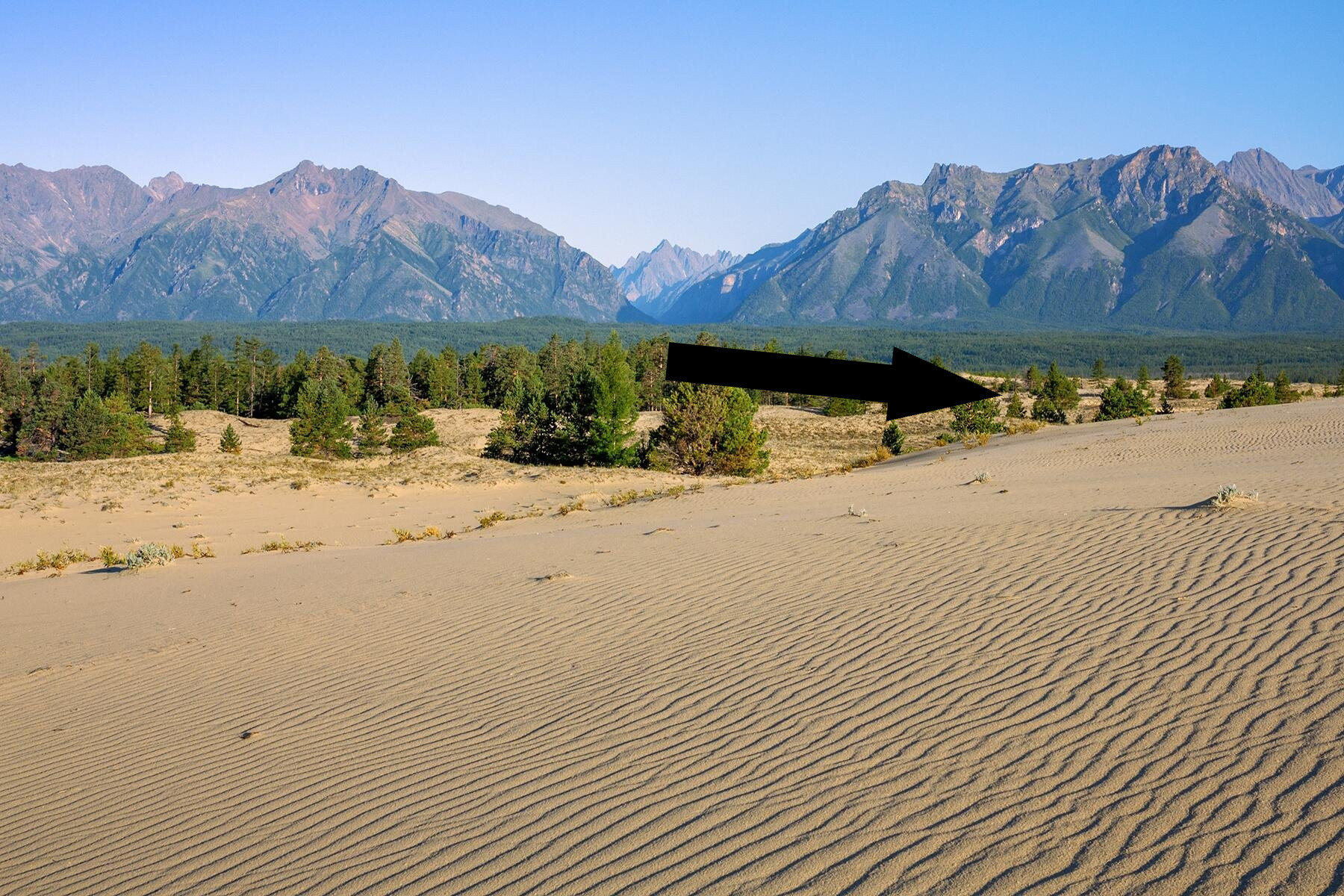 Чарские пески: сибирская Сахара среди ледяных просторов