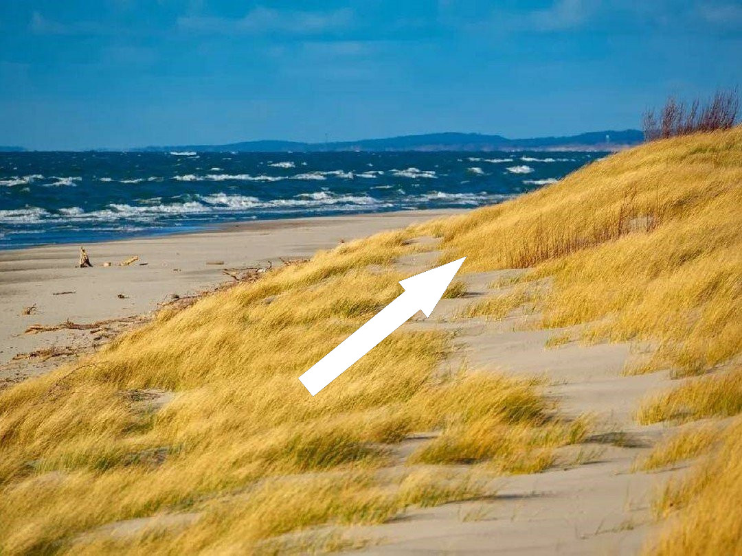 Куршская коса — уникальный отдых у Балтийского моря