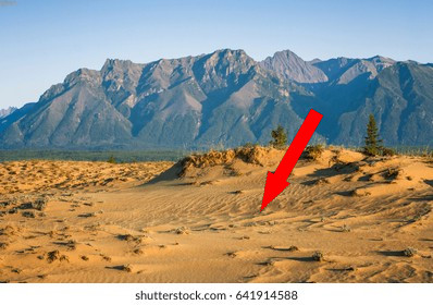 Сибирская Сахара