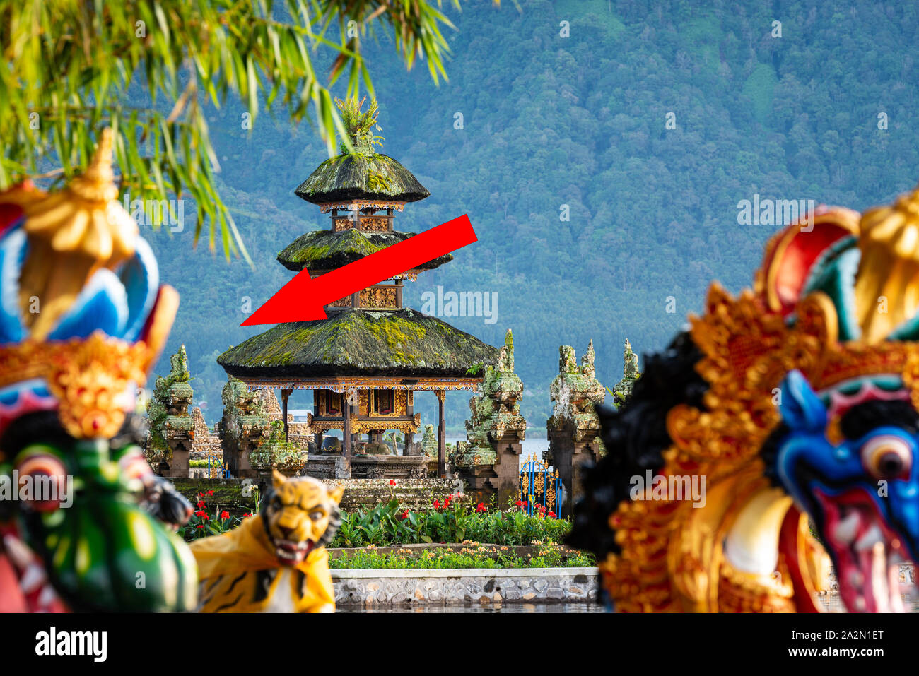 Новый год на Бали: волшебство пленочной фотографии